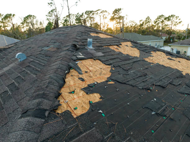 Best Asphalt Shingle Roofing  in Menasha, WI