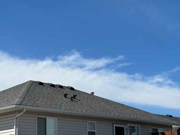 Best Solar Panel Roofing Installation  in Menasha, WI